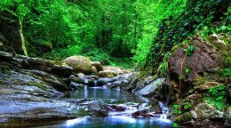 Свирское ущелье