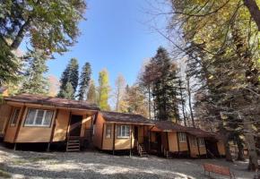 База отдыха В гостях у сказки