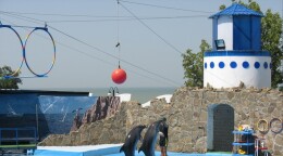 Ейский дельфинарий