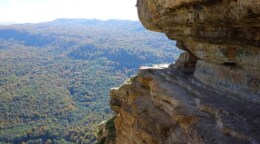 Орлиная полка