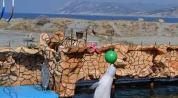 Дельфинарий 