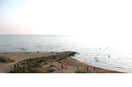 Пляж в Ильиче