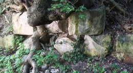 Крепость Никопсия (Тузу-Кале)