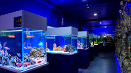 Океанариум Подводный мир