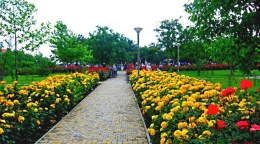 Парк Ореховая роща