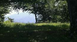 Смотровая площадка Престиж