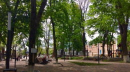 Центральный парк