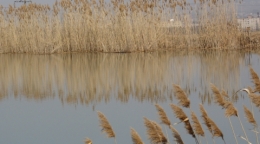 Змейское озеро