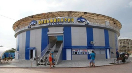 Дельфинарий