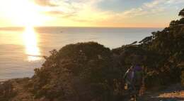 Дикий пляж в Большом Утрише