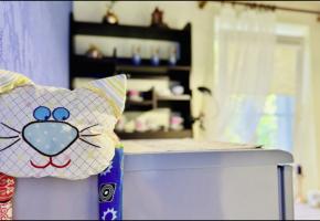 Мяу-квартира