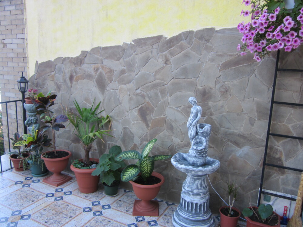 Фото 3-9885534