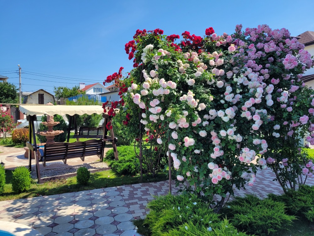 Фото 5-9713793