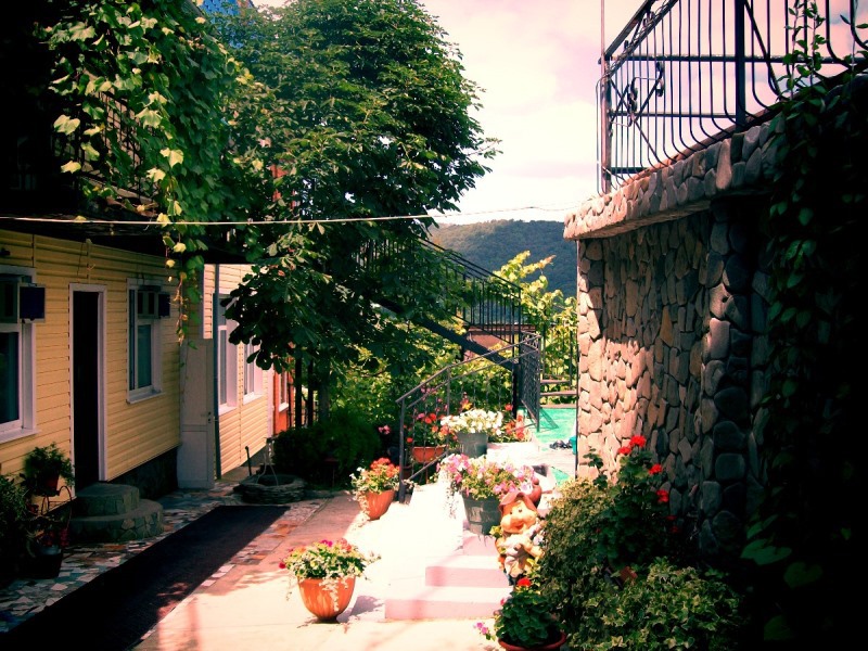 Фото 2-468890